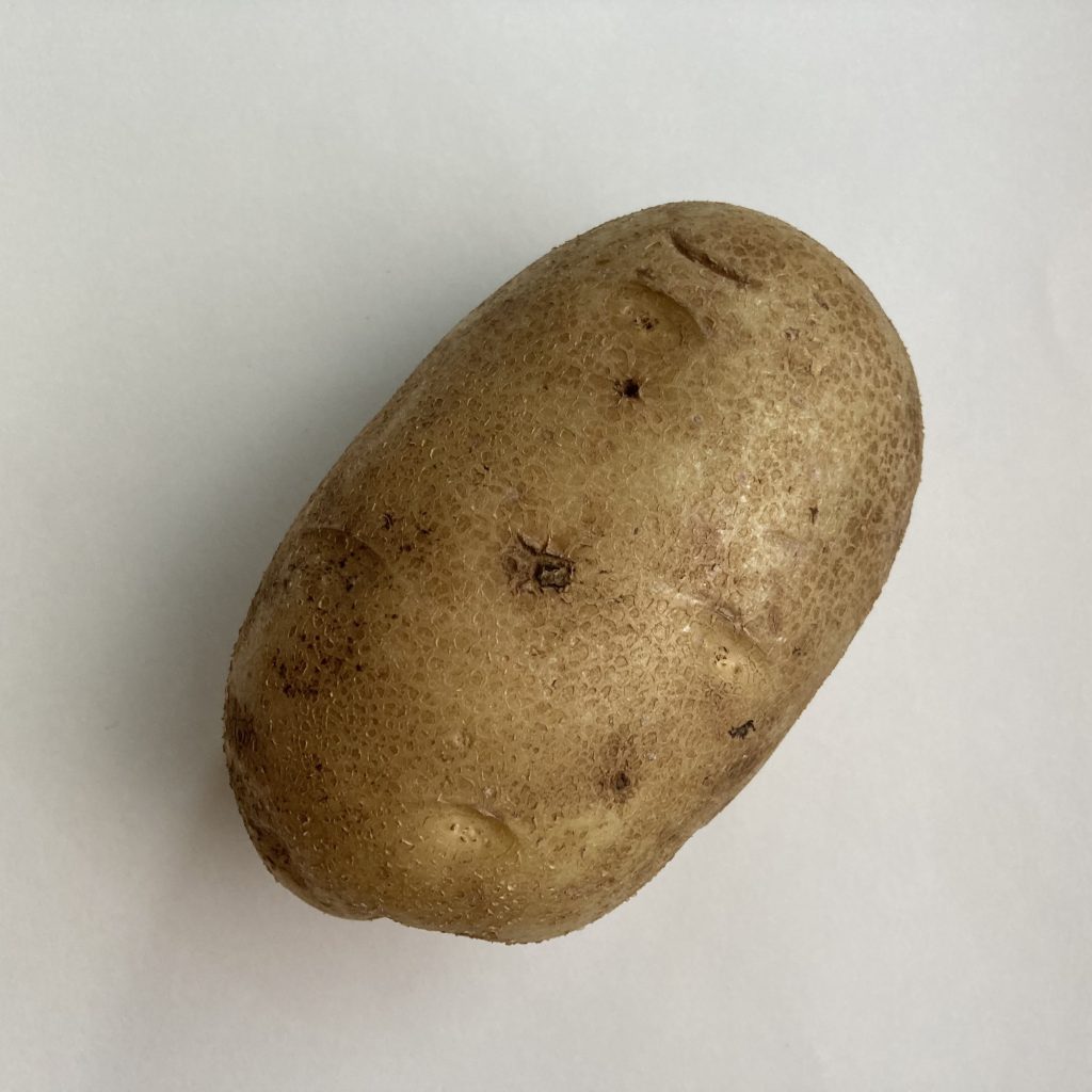 A potato on a white background.